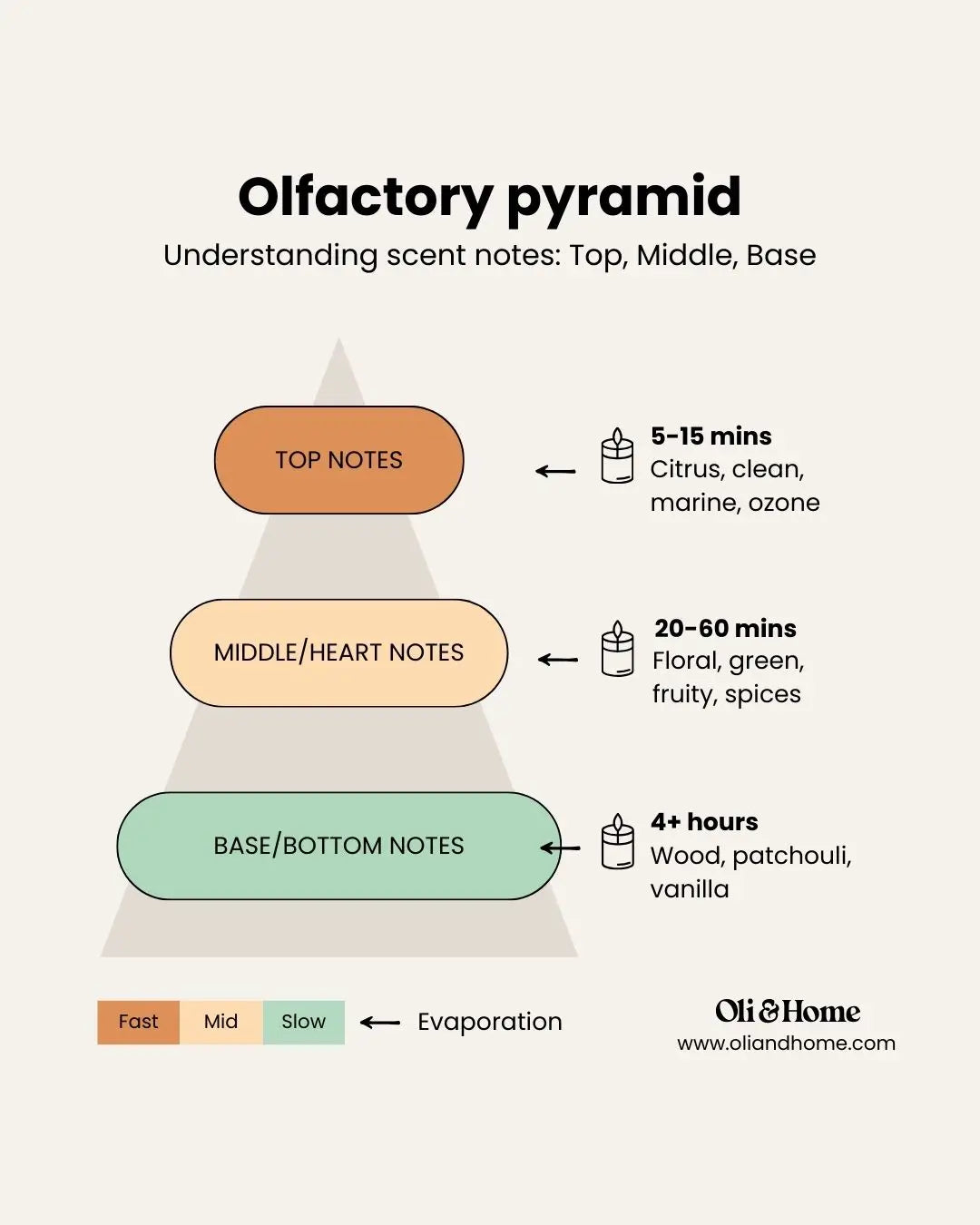 Understanding scent notes: Top, Middle, Base