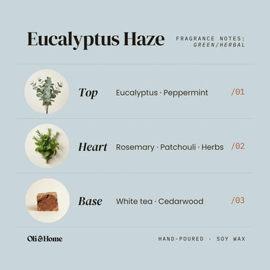 Eucalyptus Haze Wax Melts