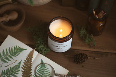 Rainforest Mist | Petrichor + Forest Air Scented Candle