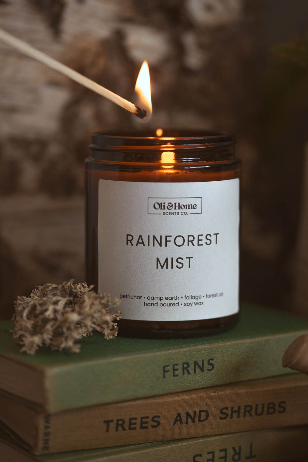 Rainforest Mist | Petrichor + Forest Air Scented Candle