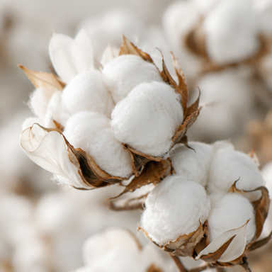 Fresh Linen Wax Melts