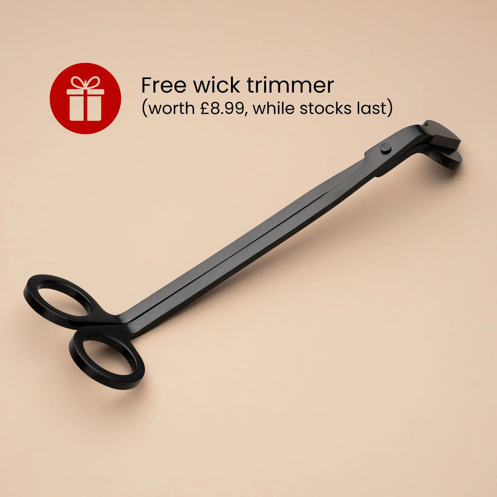 Festive Scented Candles Bundle | Merry Berry + Winter Pine