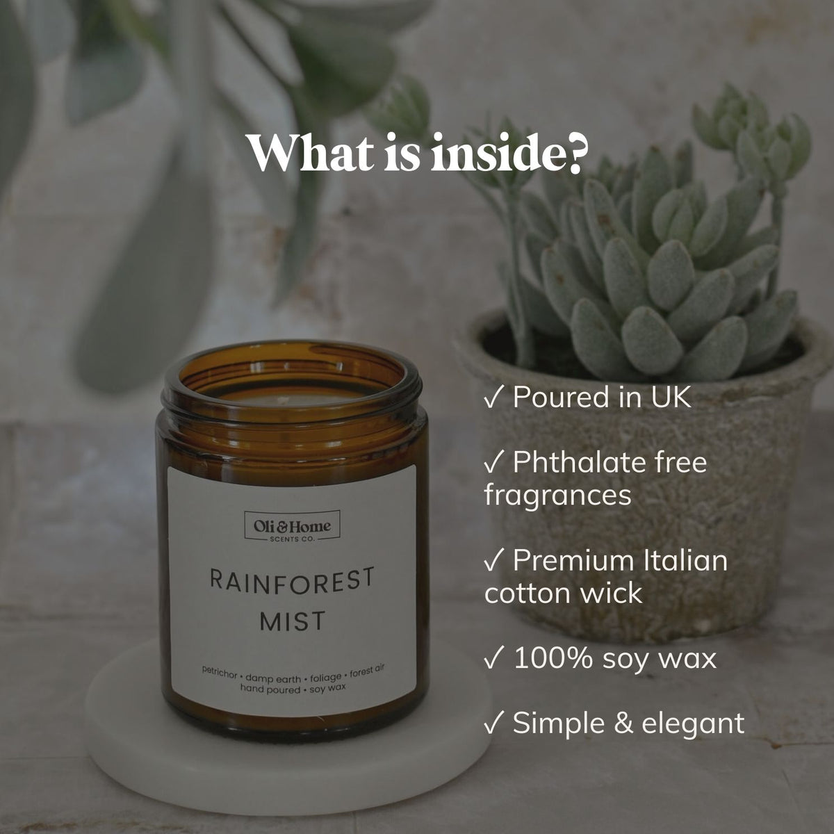 Rainforest Mist | Petrichor + Forest Air Scented Candle
