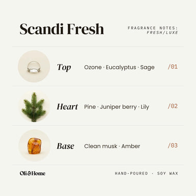 Scandi Fresh Wax Melts | ✨LIMITED✨